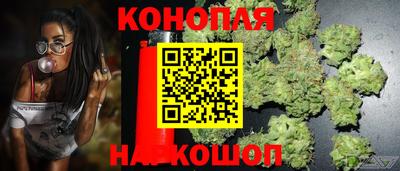 СК Аргун