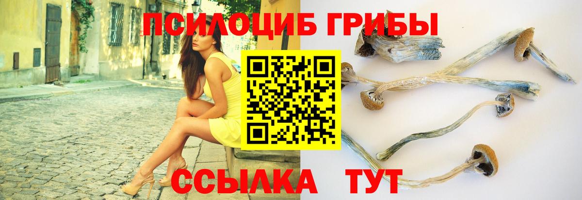 Галлюциногенные грибы ЛСД Ачхой-Мартан